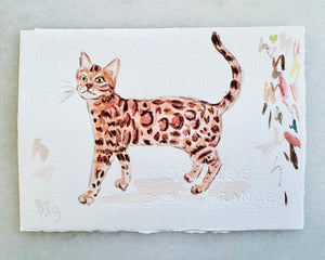 SMALL PET STUDY