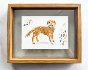 SMALL PET STUDY