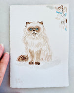 Load image into Gallery viewer, SMALL PET STUDY
