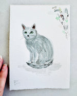 Load image into Gallery viewer, SMALL PET STUDY
