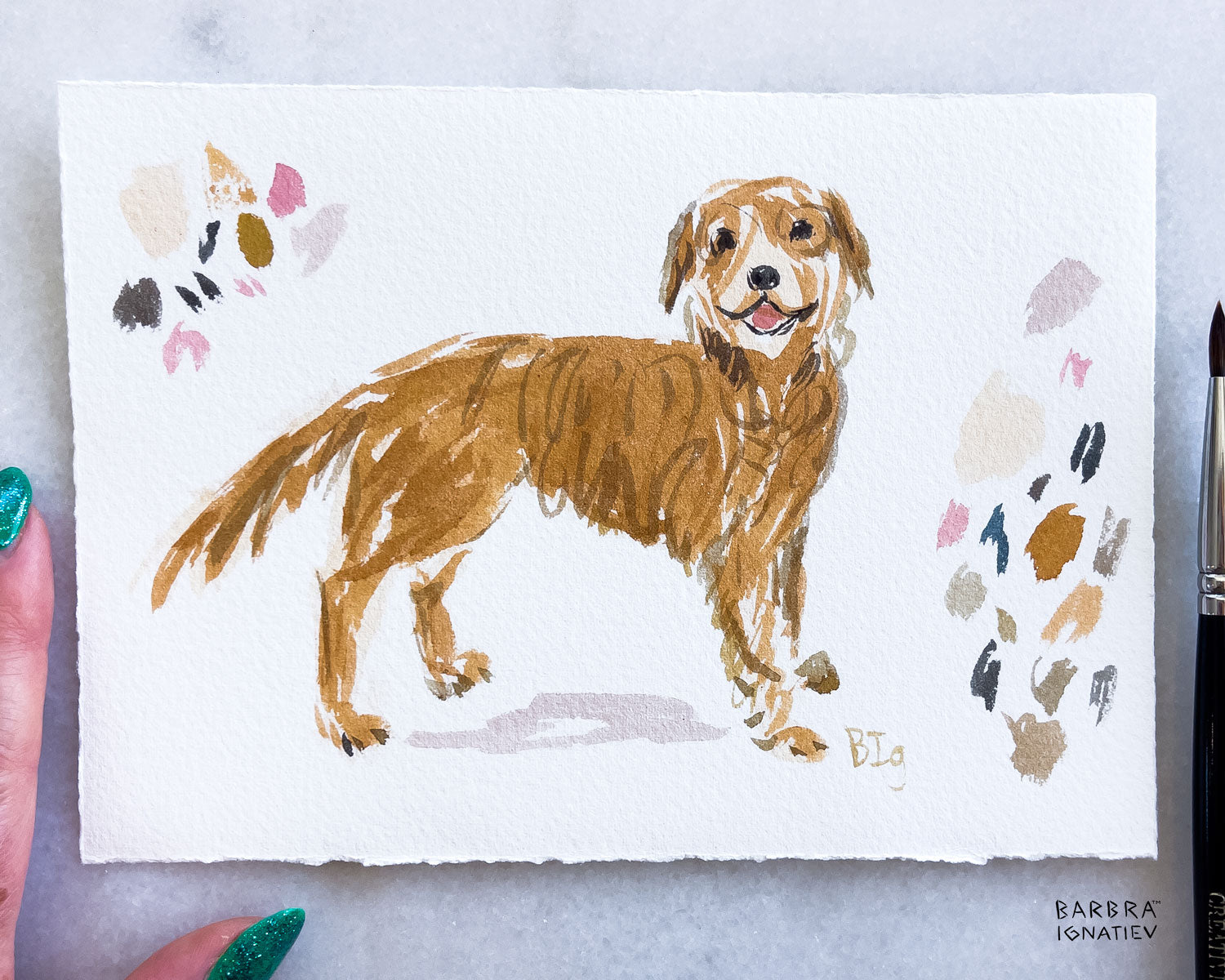 SMALL PET STUDY
