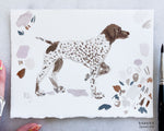 Load image into Gallery viewer, SMALL PET STUDY
