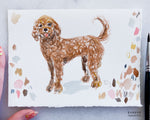 Load image into Gallery viewer, SMALL PET STUDY
